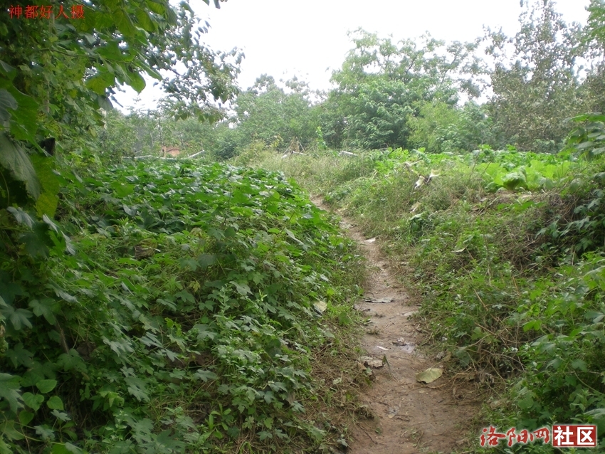 DSCN5142.JPG