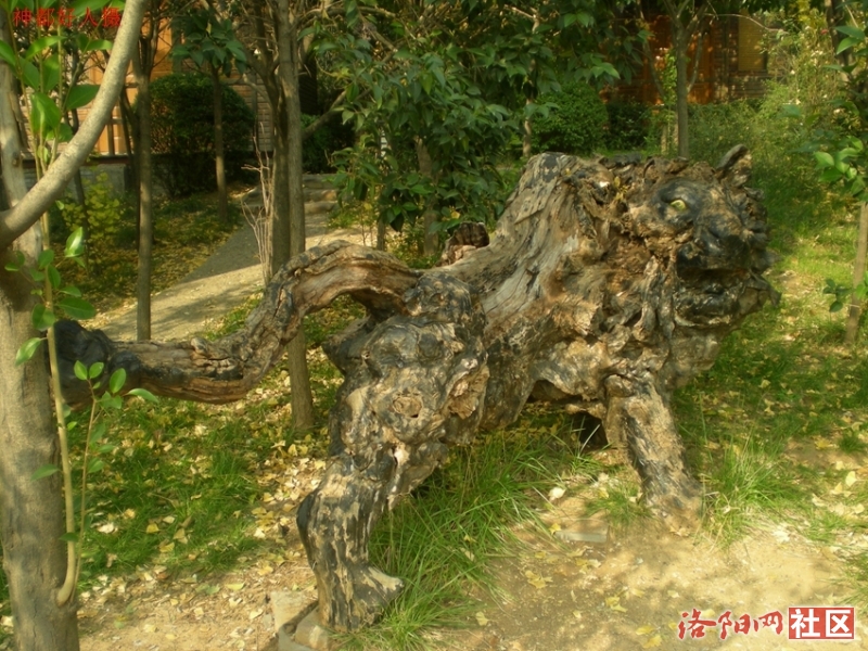 DSCN5710.JPG