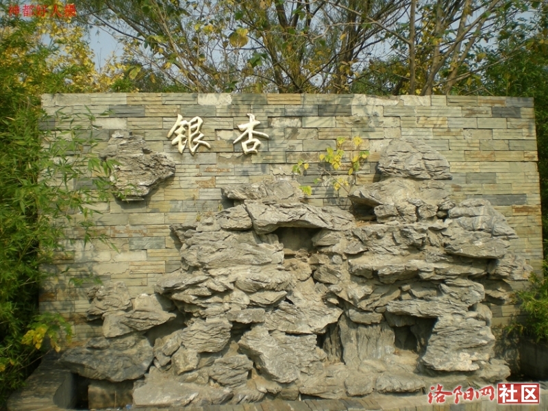 DSCN5712.JPG