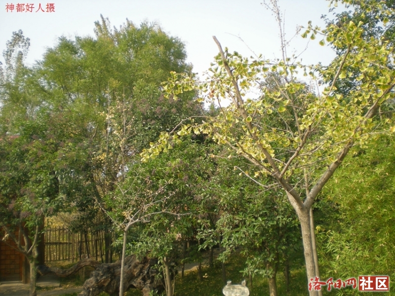 DSCN5713.JPG