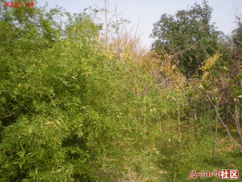 DSCN5715.JPG