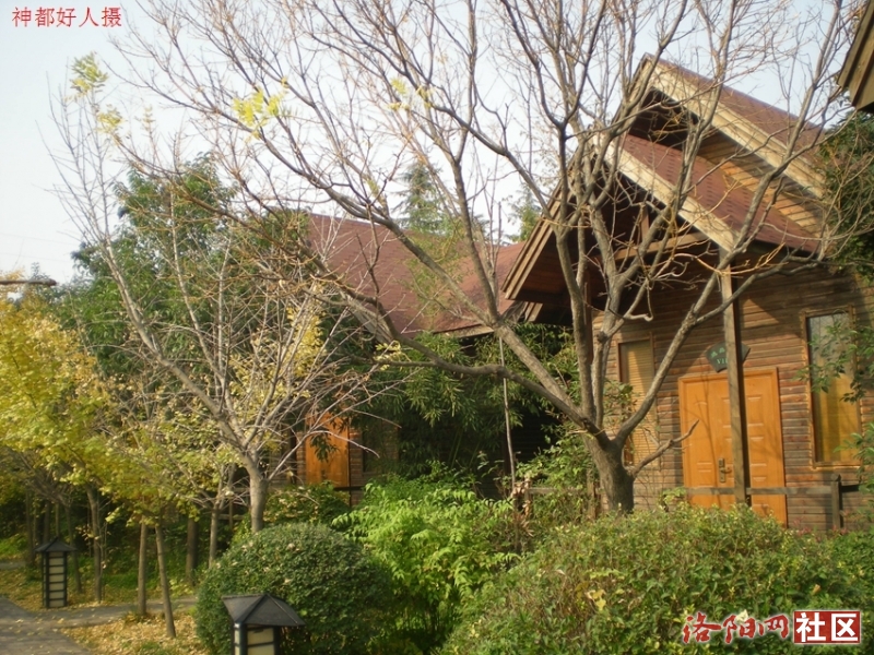DSCN5719.JPG