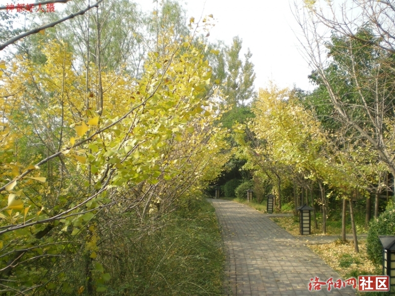 DSCN5722.JPG
