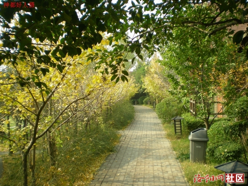 DSCN5724.JPG