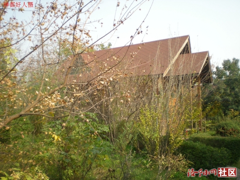 DSCN5726.JPG