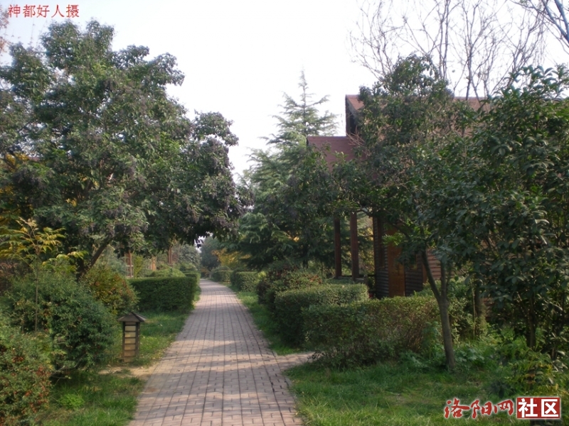 DSCN5728.JPG