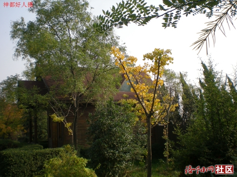 DSCN5731.JPG