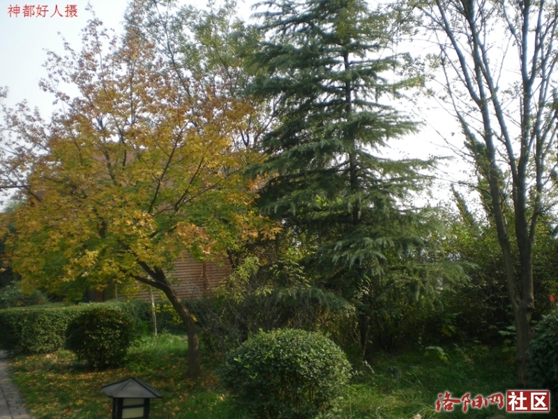 DSCN5733.JPG