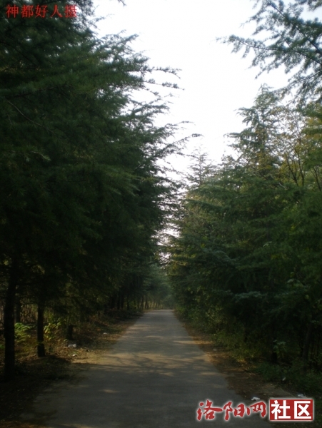 DSCN5743.JPG