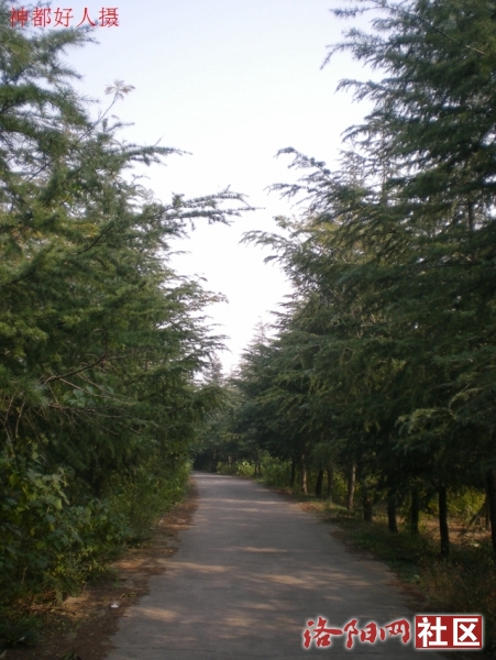 DSCN5744.JPG