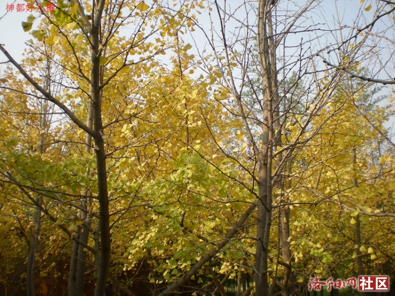 DSCN5746.JPG
