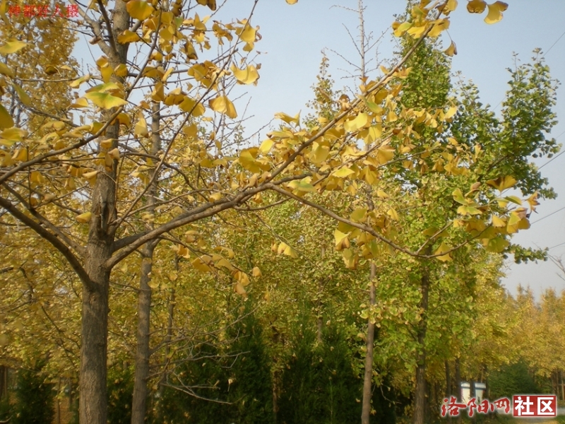 DSCN5752.JPG