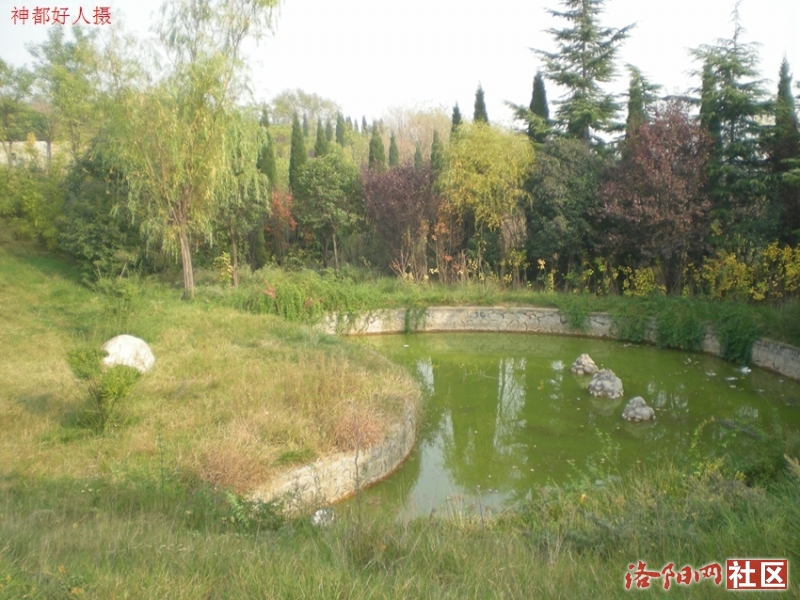 DSCN5753.JPG