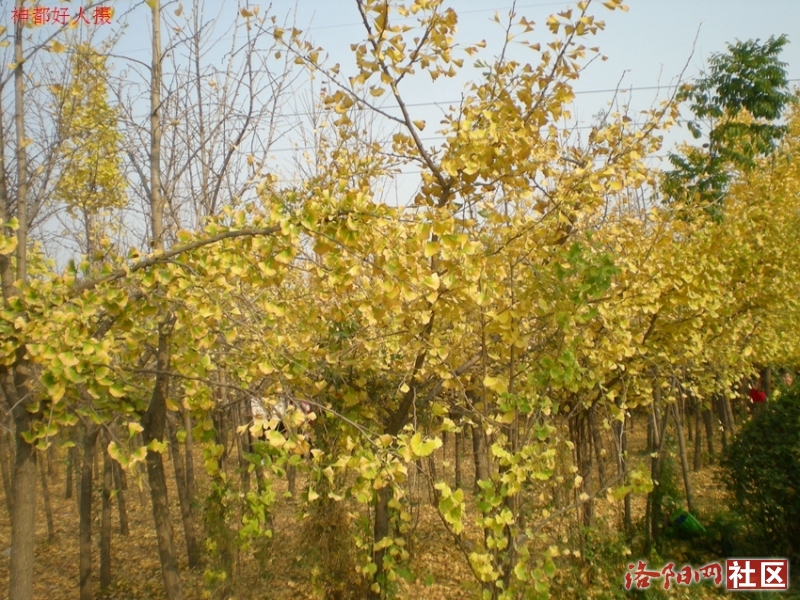 DSCN5758.JPG