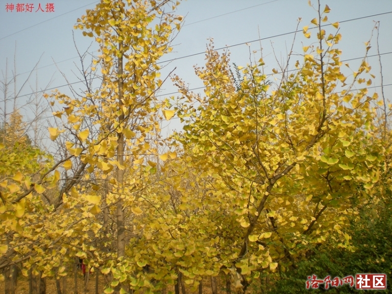 DSCN5763.JPG