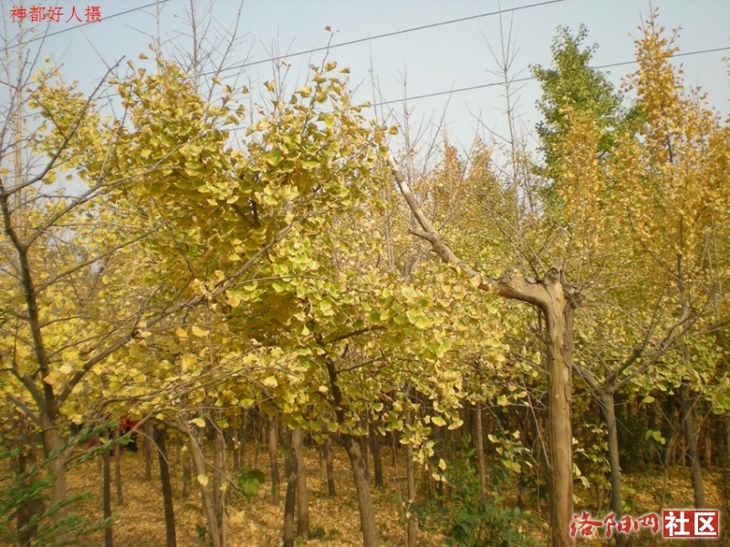 DSCN5764.JPG