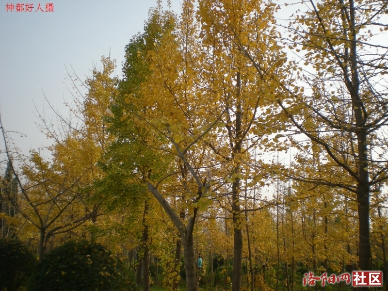 DSCN5770.JPG