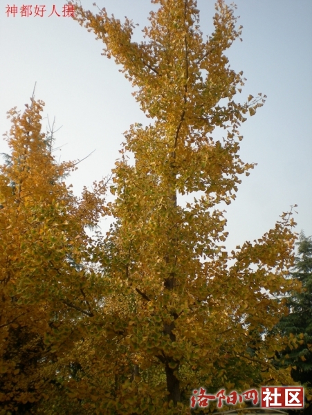 DSCN5771.JPG