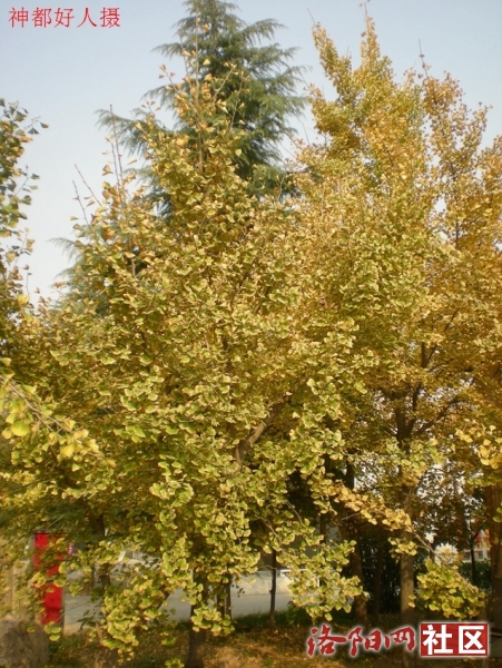 DSCN5772.JPG