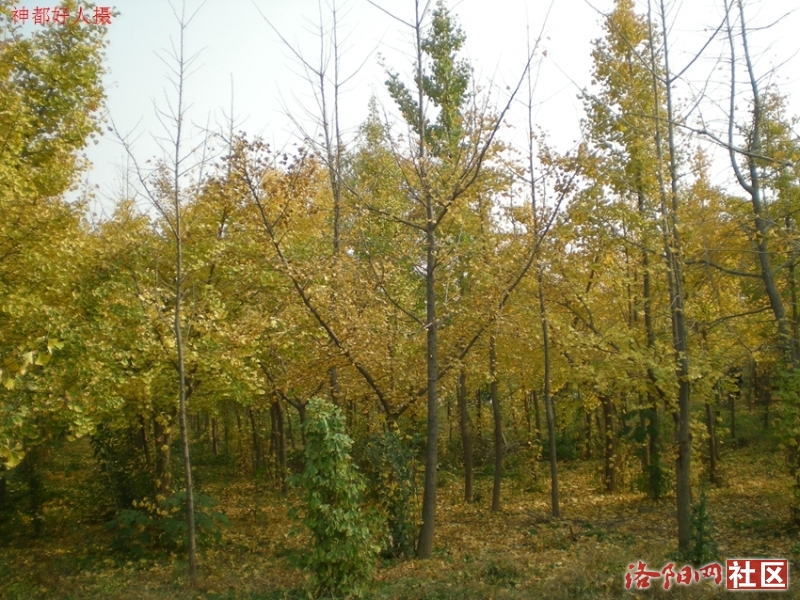 DSCN5773.JPG