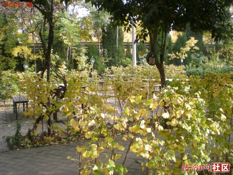 DSCN5774.JPG