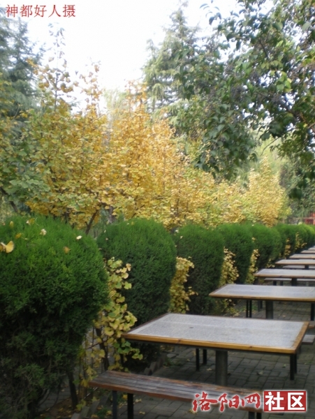 DSCN5778.JPG