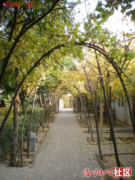 DSCN5779.JPG
