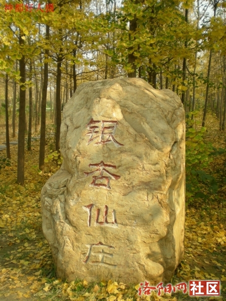 DSCN5780.JPG