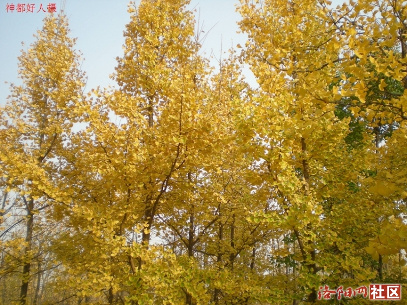 DSCN5782.JPG