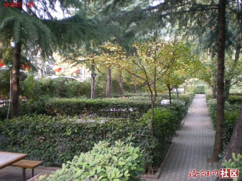 DSCN5784.JPG