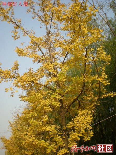 DSCN5785.JPG