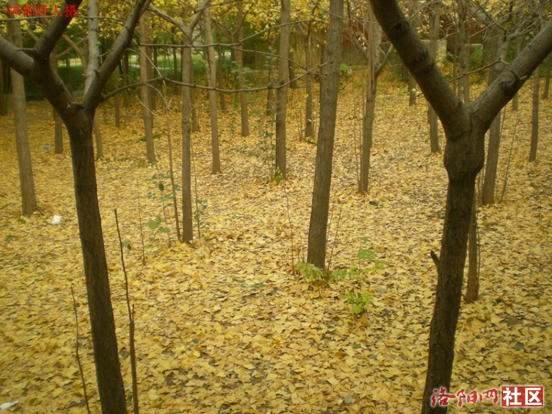 DSCN5818.JPG