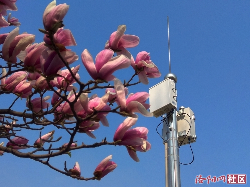 有的人口吐芬芳_吐的图片(3)