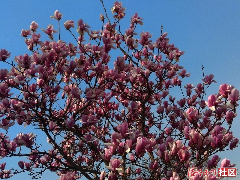 有的人口吐芬芳_吐的图片(3)