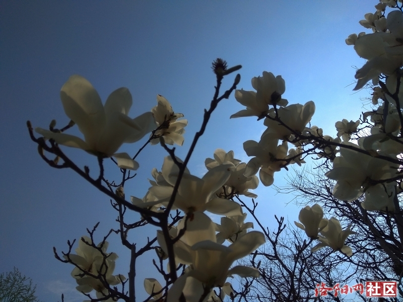 有的人口吐芬芳_吐的图片(3)