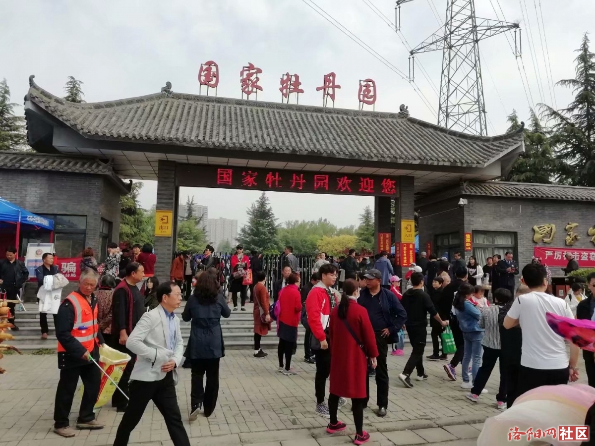 【精彩洛阳】洛阳国家牡丹园