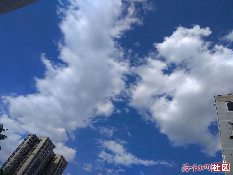 照片帖(902)蓝蓝的天上白云飘