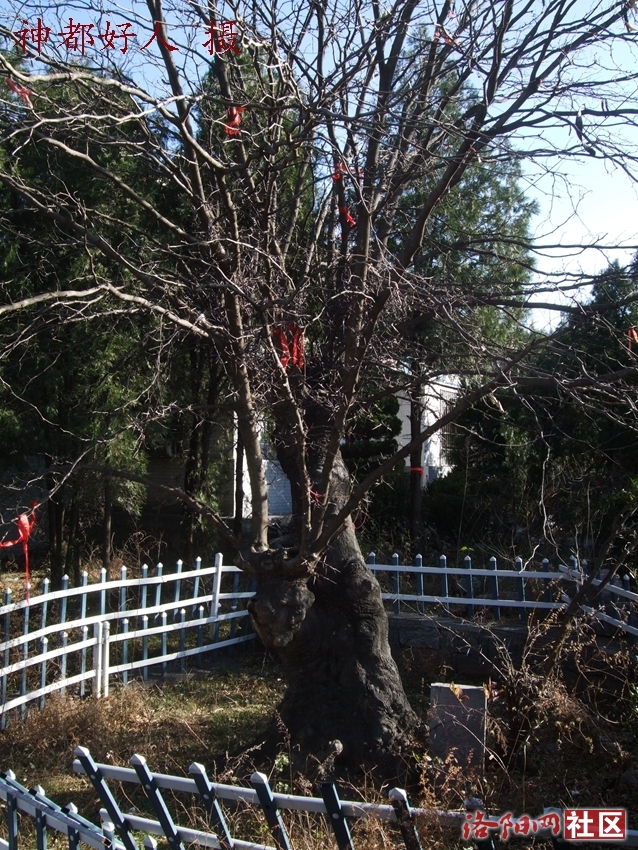 DSCF0008.JPG