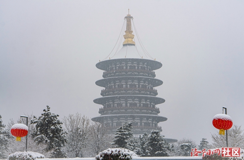 _DSC0600_副本.jpg