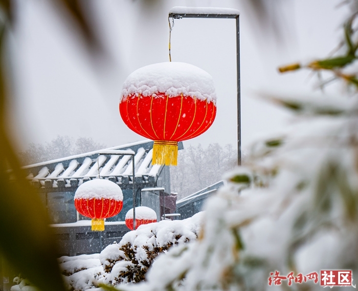_DSC0621_副本.jpg