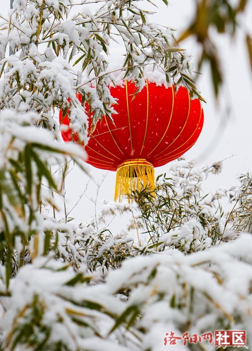_DSC0624_副本.jpg