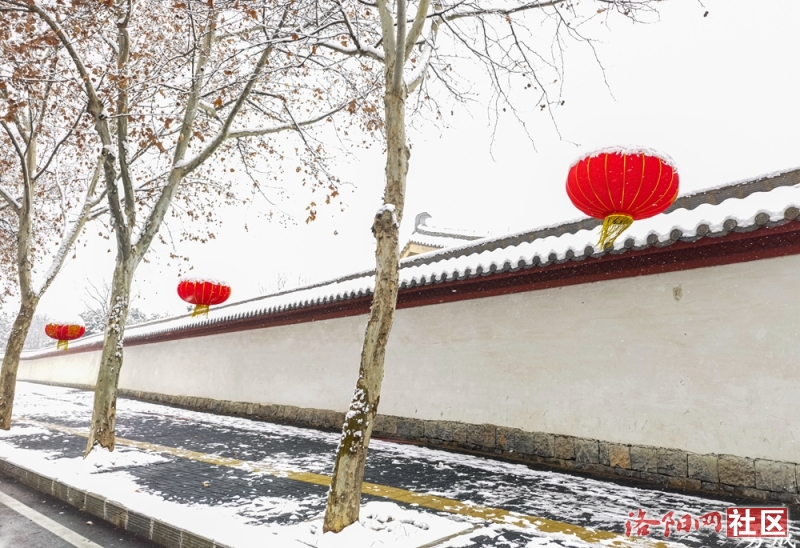 IMG_20220123_122050_副本.jpg
