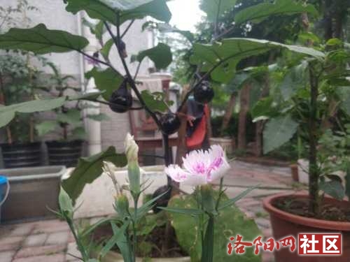 IMG_20220616_061308.jpg