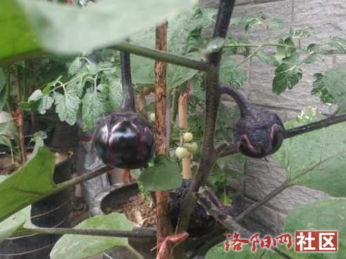 IMG_20220616_061435.jpg