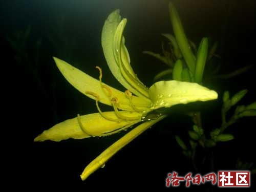 IMG_20220627_043852.jpg