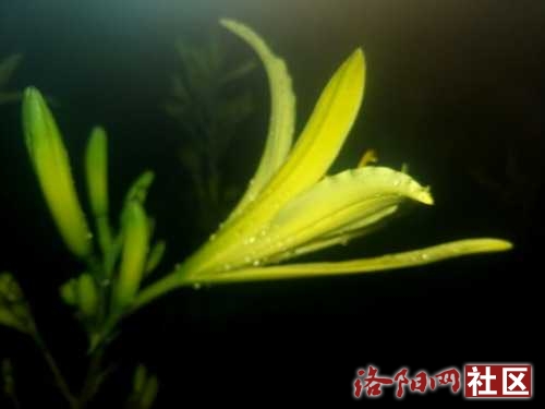 IMG_20220627_043940.jpg