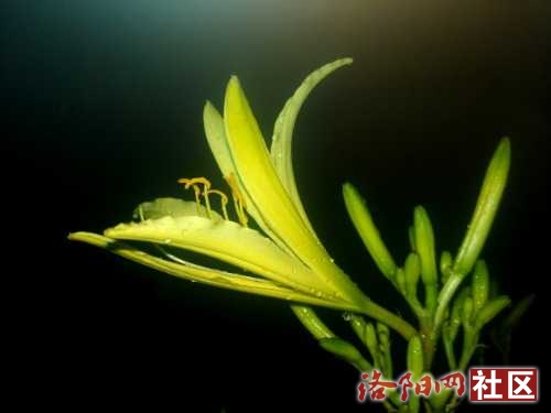 IMG_20220627_044018.jpg