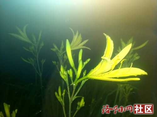 IMG_20220627_044054.jpg