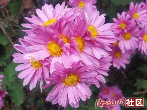 IMG_20221027_095452.jpg