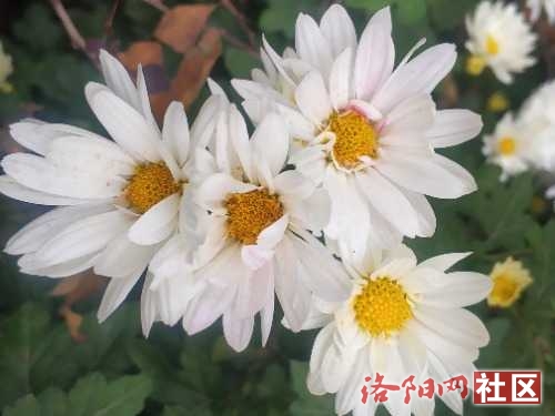 IMG_20221027_095530.jpg